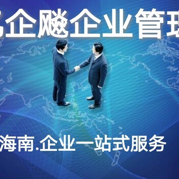 海口注册投资股权与资产管理公司全面指南 企业管理咨询服务详解